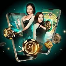 lsm555